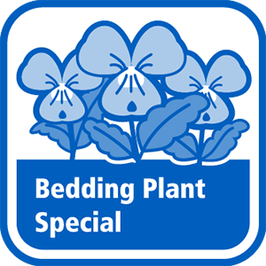 Ideálne pre letničky