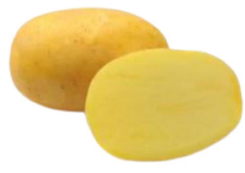 Zemiaky minisadba Agria 28 - 35 mm, 1 kg